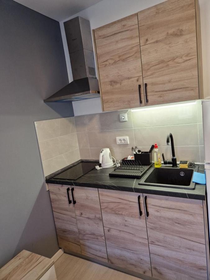 Sofia Apartment Sajmiste Экстерьер фото